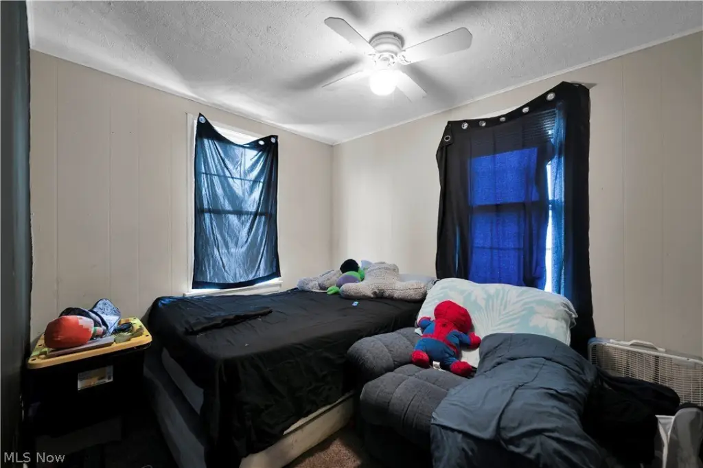 Picture 11