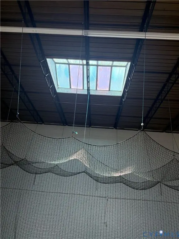 Picture 19