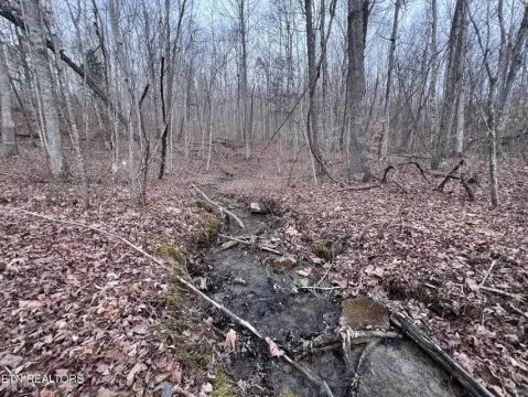 5.16 Acres in Jamestown, TN