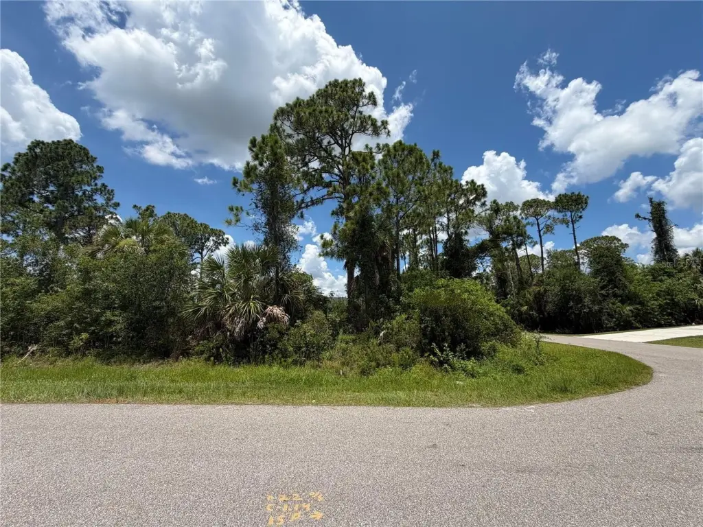 Picture 6