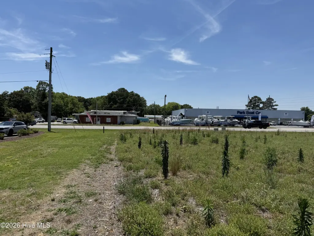 Picture 19