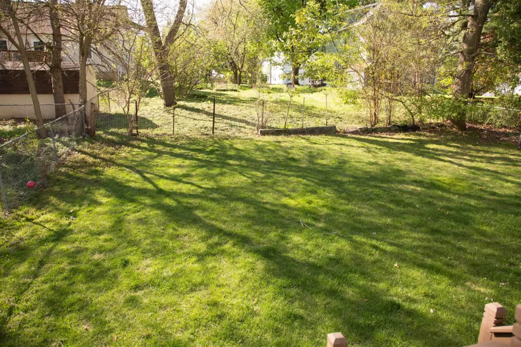 Picture 12