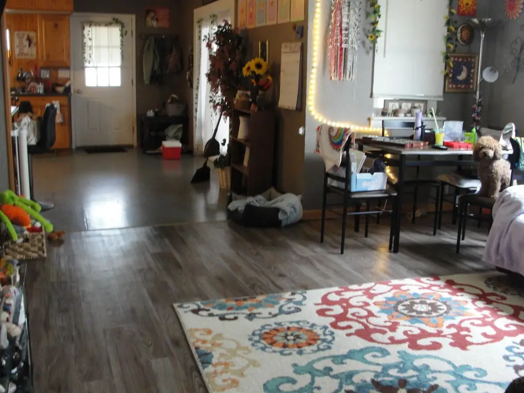 Picture 3