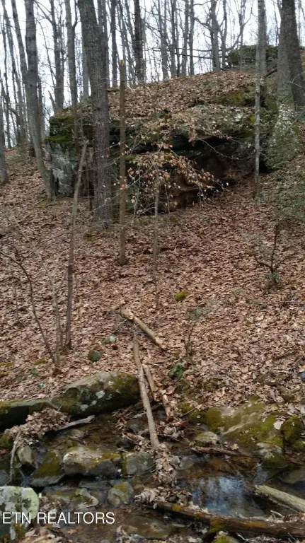 Picture 19