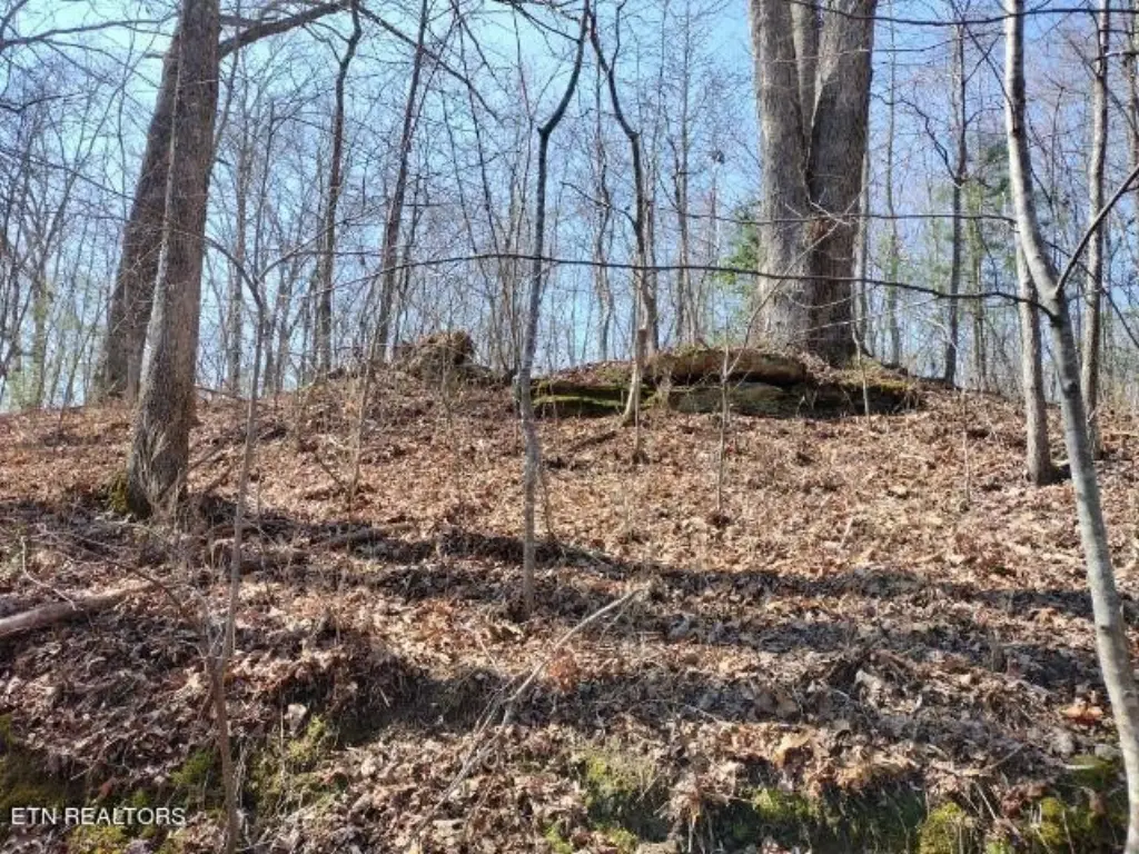 Picture 3