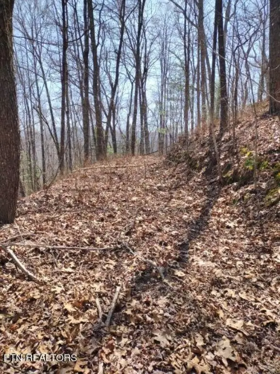 Picture 4