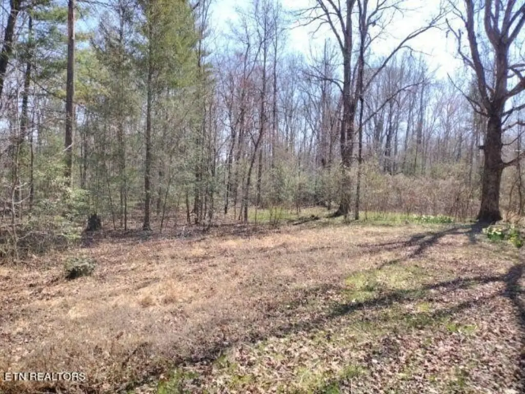 Picture 7