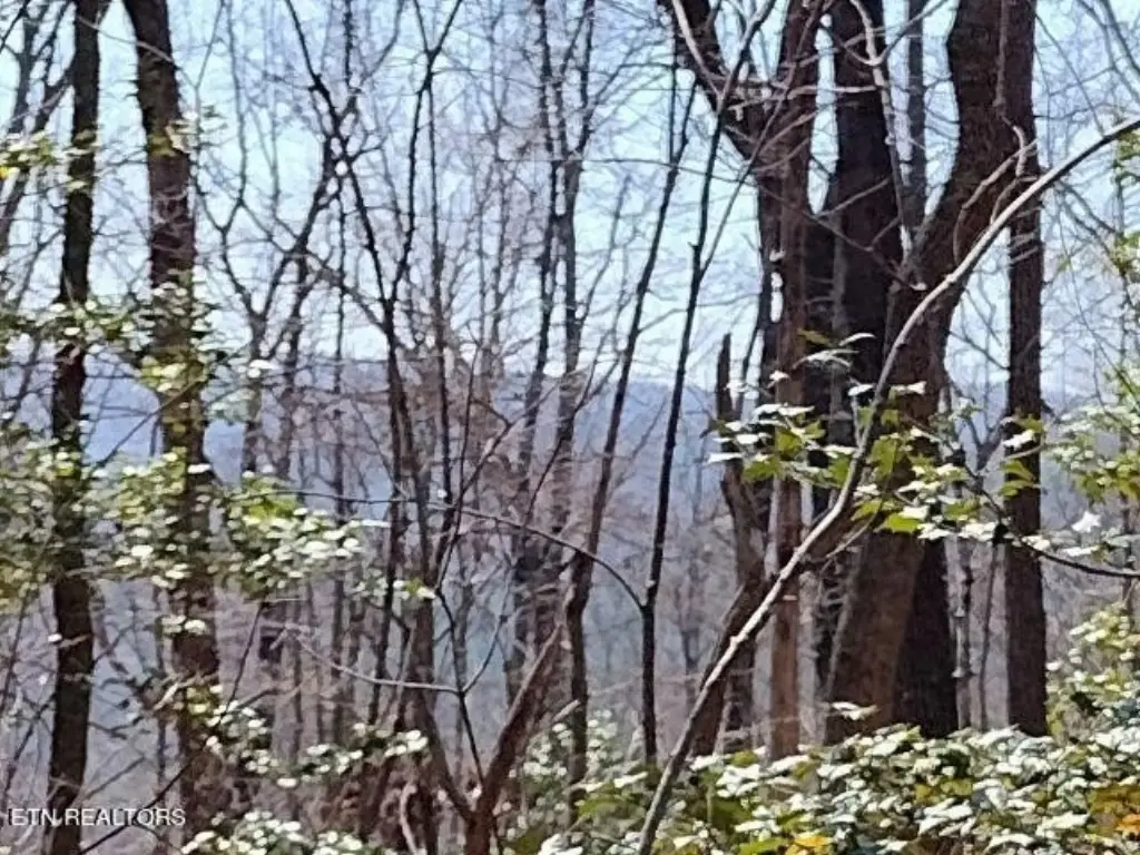 Picture 14