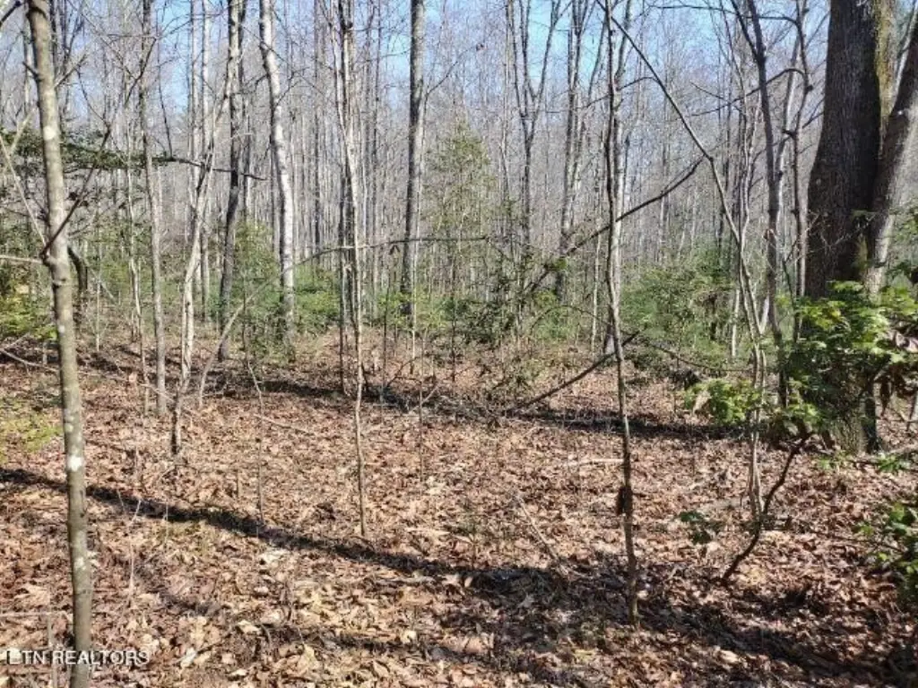 Picture 23