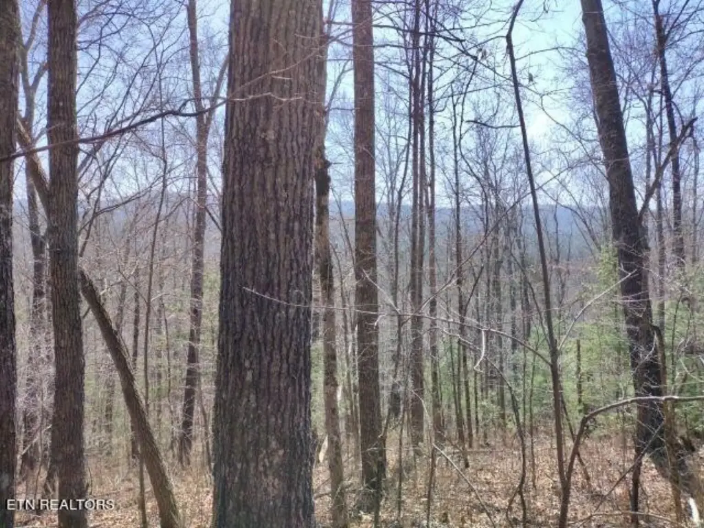 Picture 12