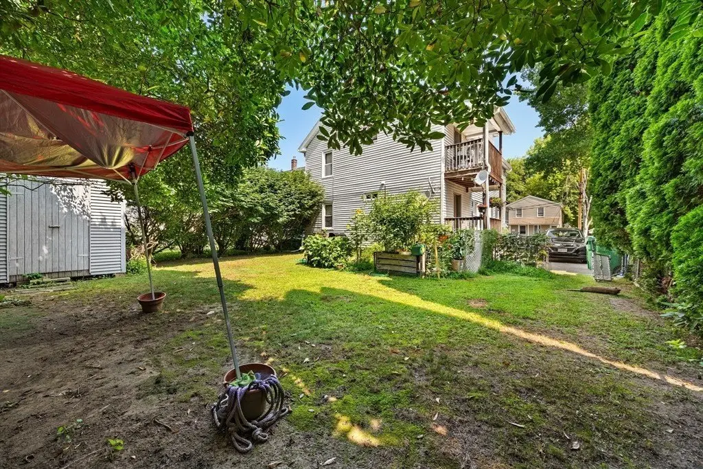 Picture 20