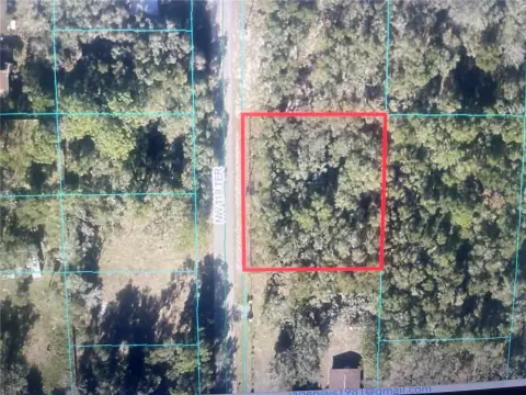 Vacant Land in Ocala Estates