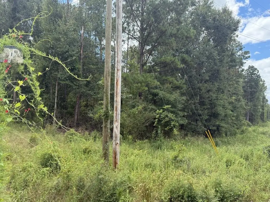 Picture 22
