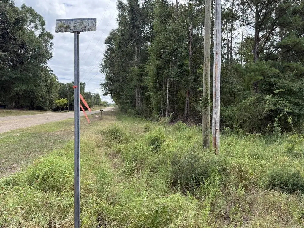 Picture 24