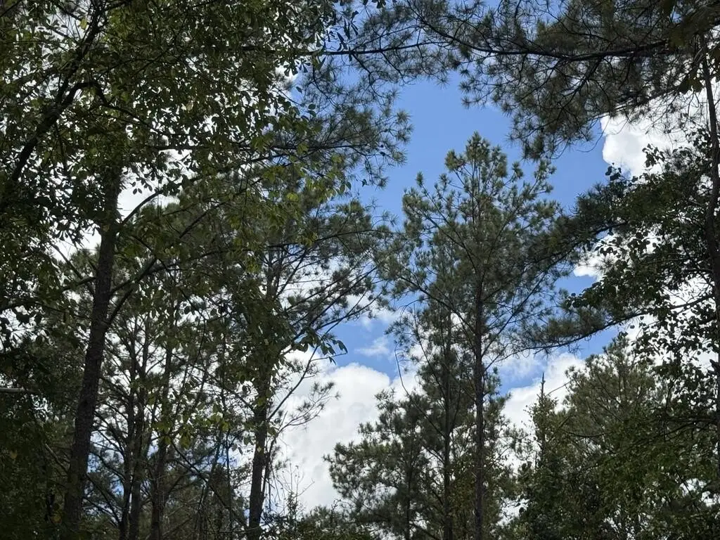 Picture 11