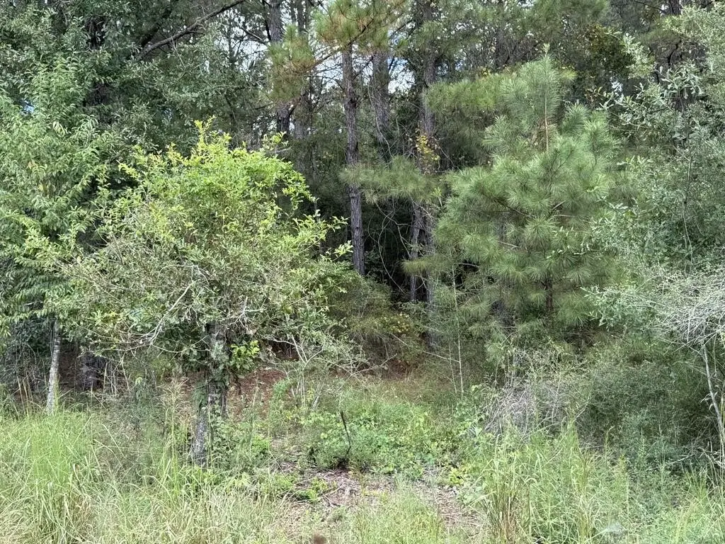 Picture 21