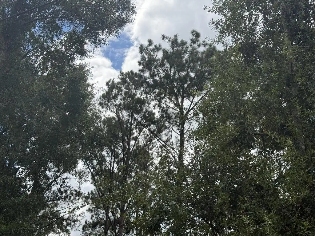 Picture 19
