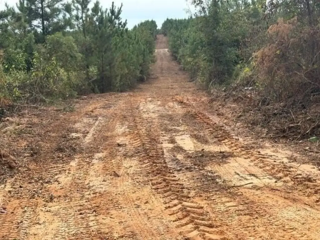 Picture 23