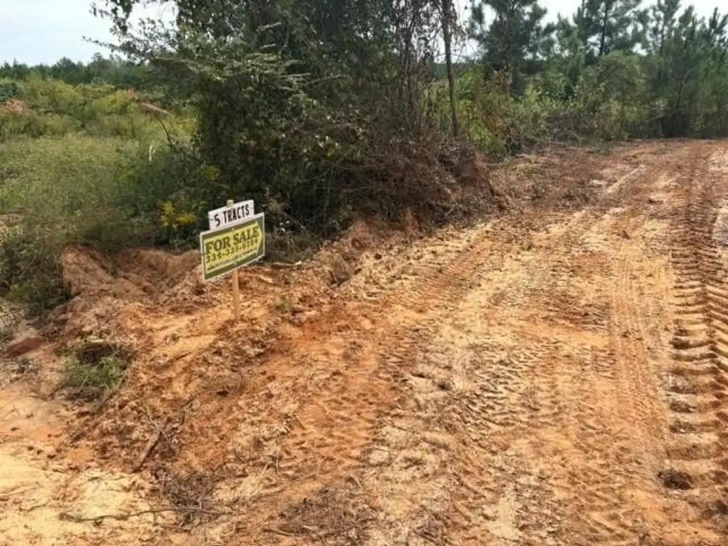 Picture 19