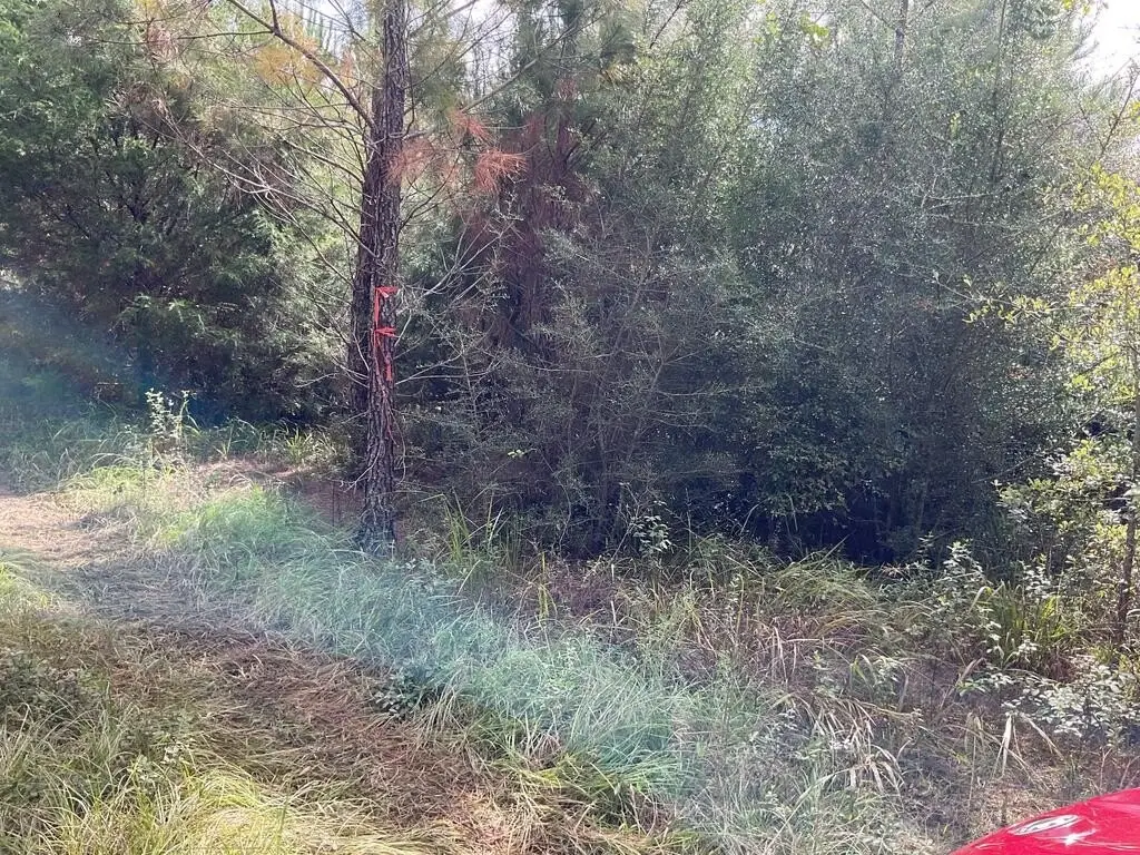 Picture 14