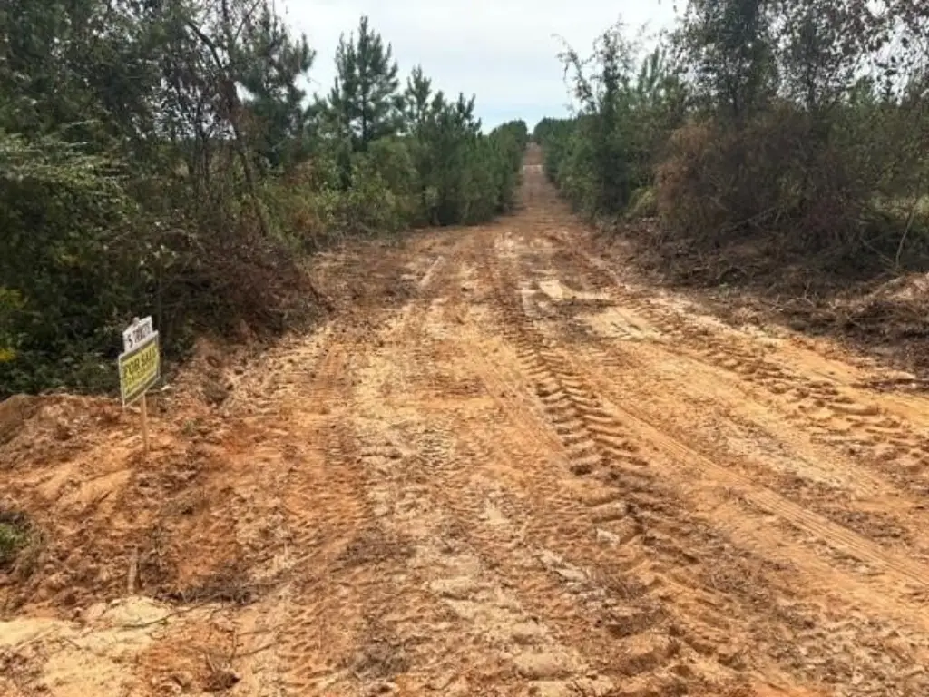 Picture 8