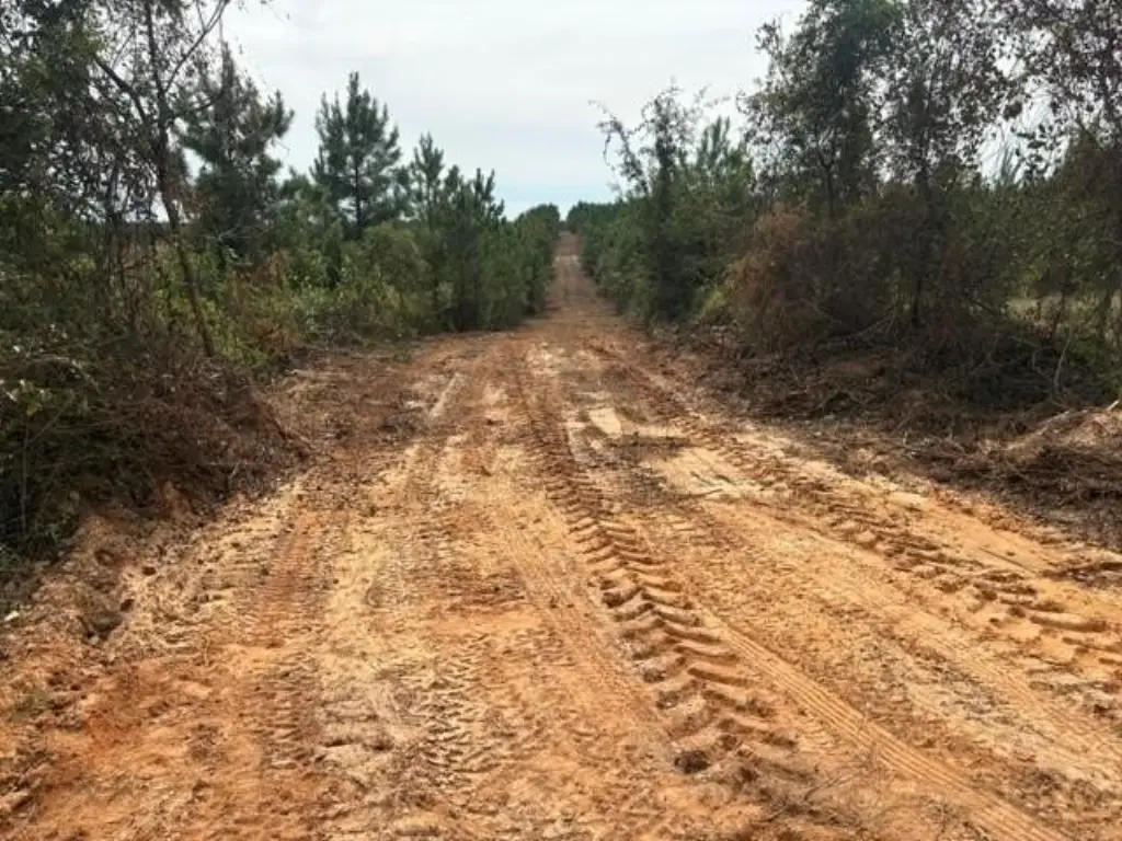 Picture 9
