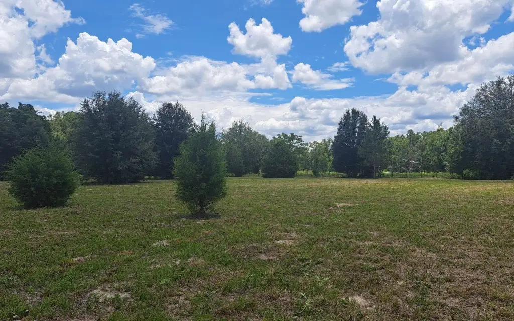 Picture 19