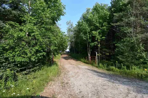 Wooded Land Near Burt Lake