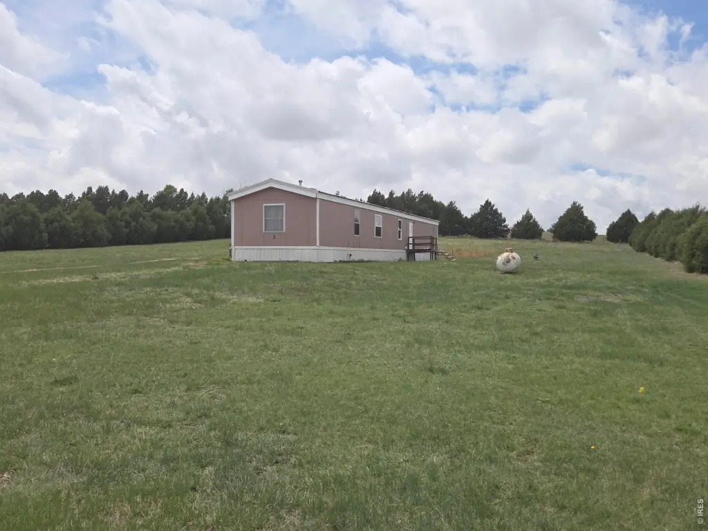 Picture 19
