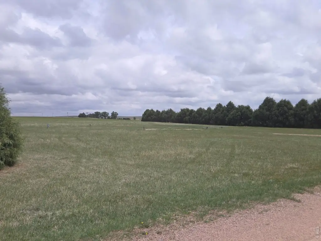 Picture 23