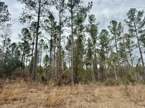 Sumrall Residential Land Opportunity