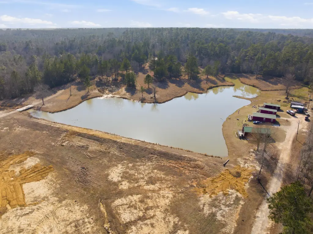 Picture 9