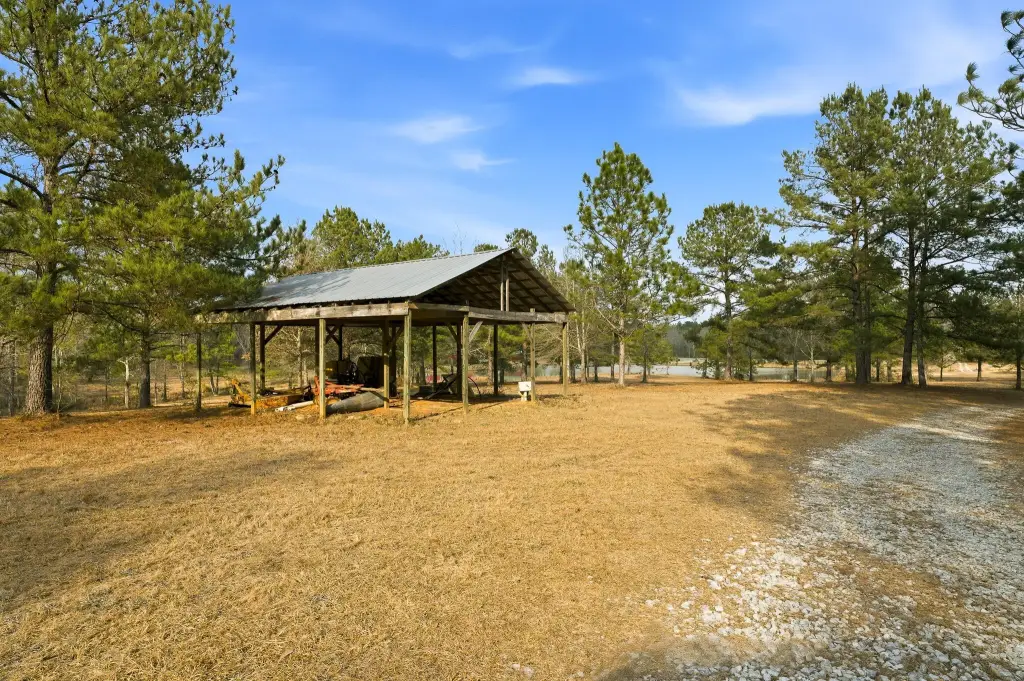 Picture 23