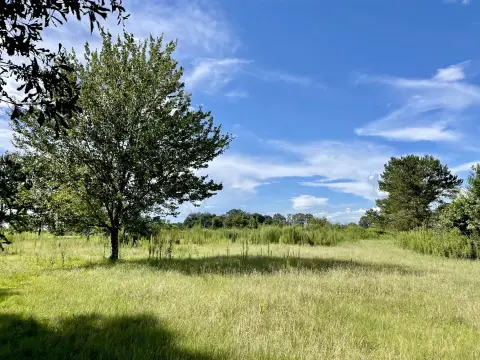 Residential Land in South Jones