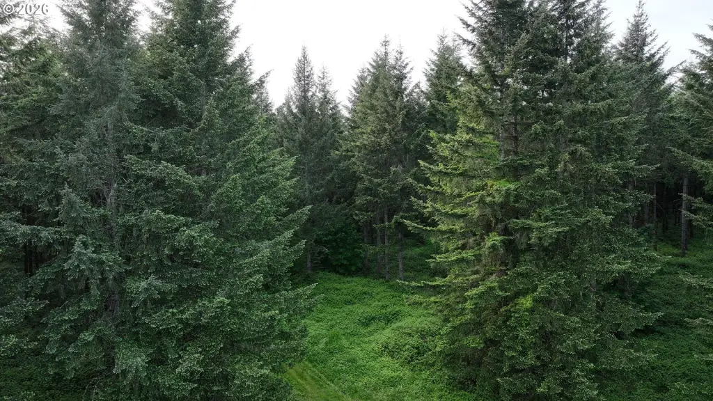 Picture 28