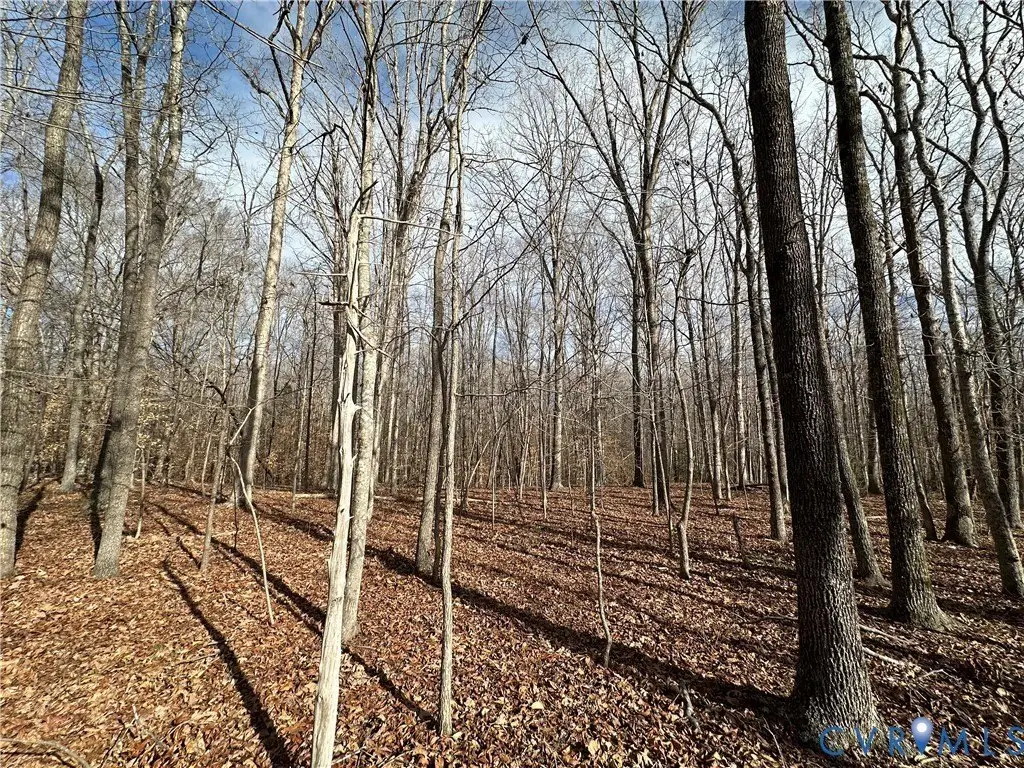Picture 4