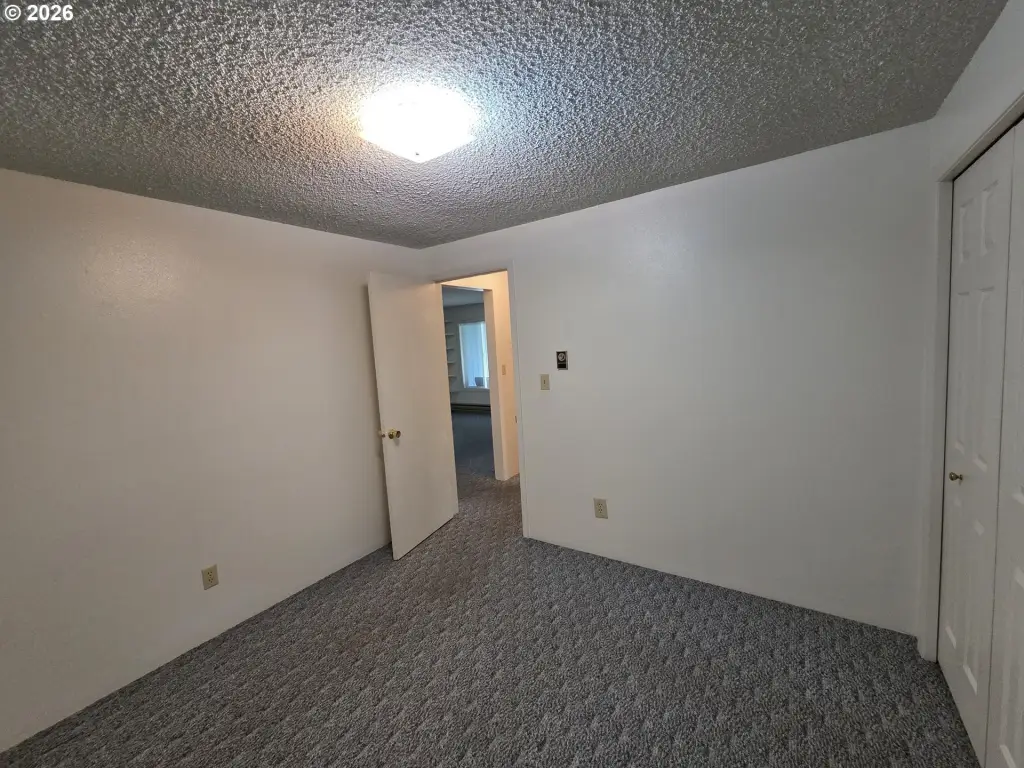 Picture 28