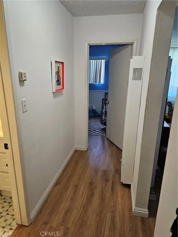 Picture 31