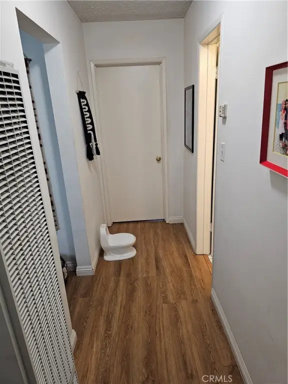 Picture 32
