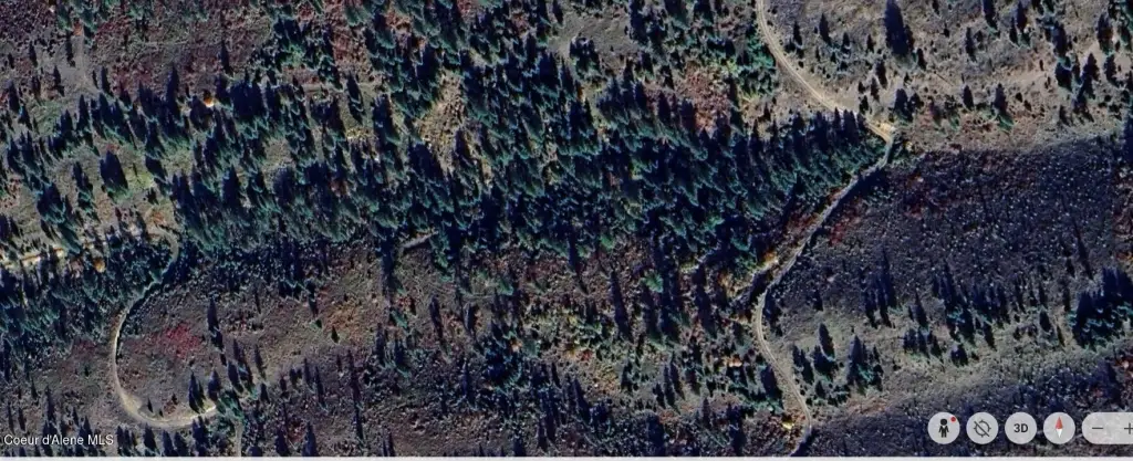 Picture 3