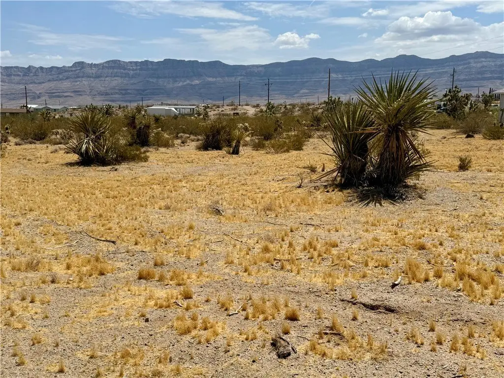 Picture 4