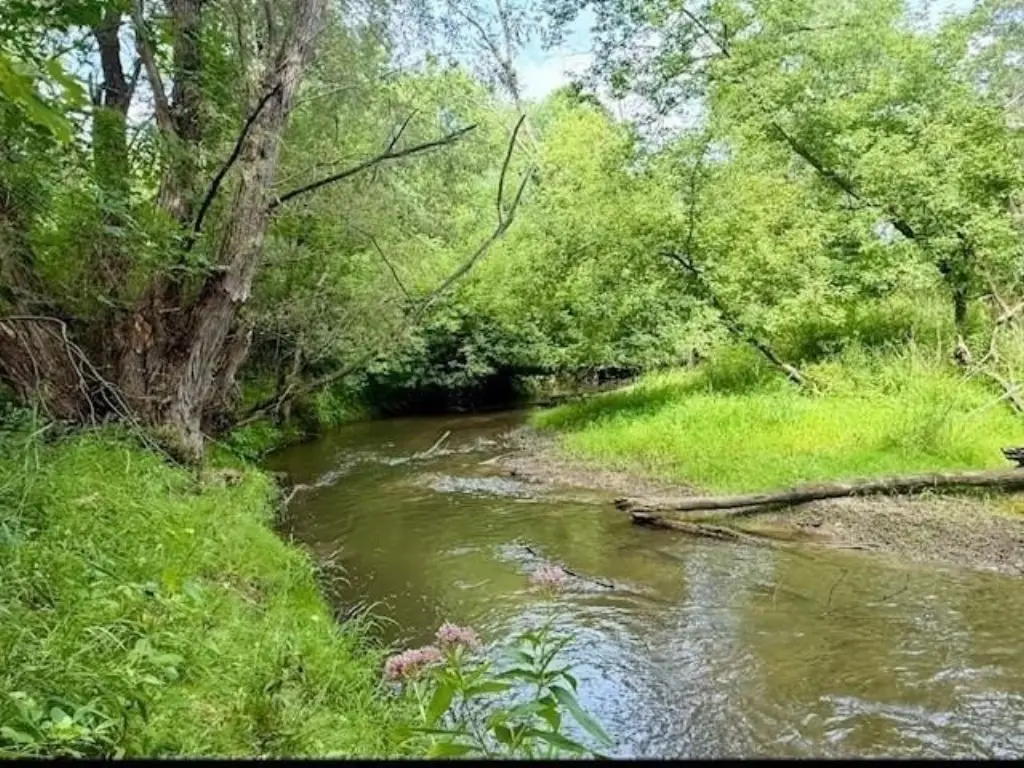 Picture 17