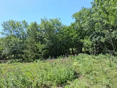 Unimproved Land in Palmer, Texas