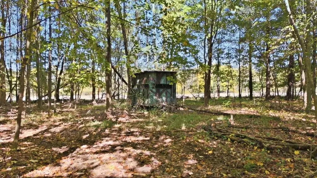 Picture 8