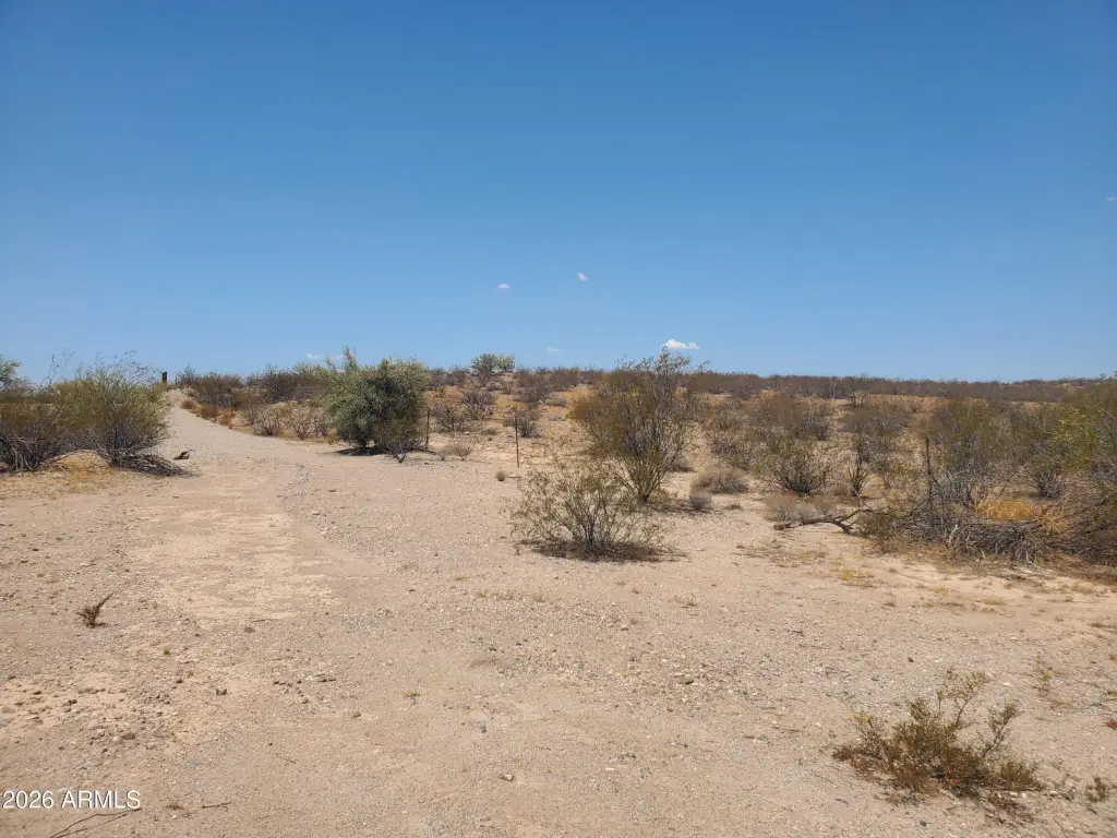 Picture 10