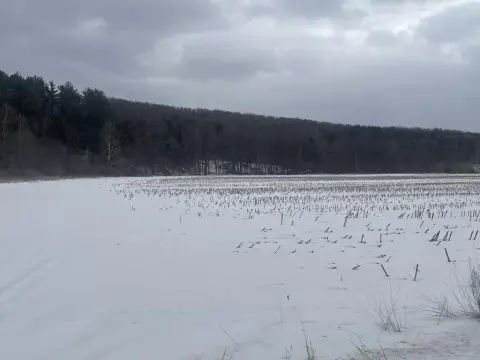 100-Acre Land Parcel in Rome