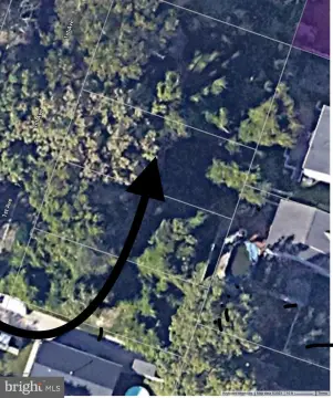 Land For Sale in Woodbury