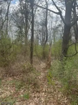 Commercial Land in Long Hill