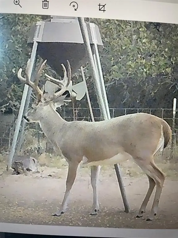 Picture 34
