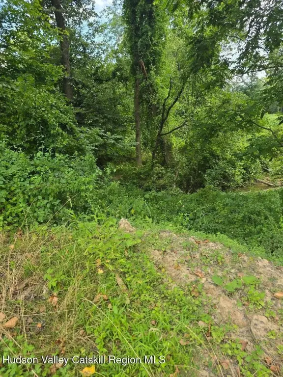 Picture 16
